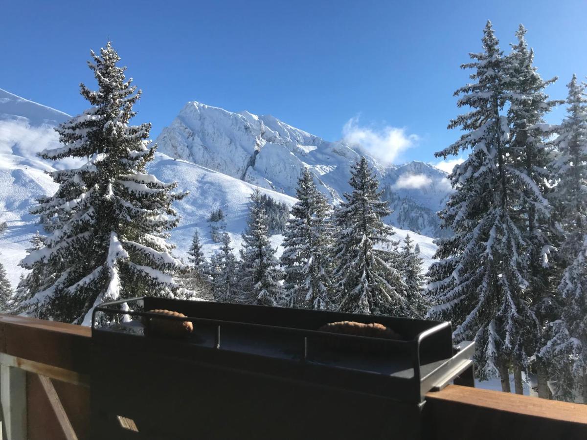 Appartement T2 Col De Merdassier Au Pied Des Pistes Manigod Luaran gambar